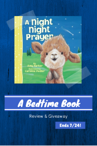 Bedtime Board Book