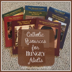Didache Parish Series - Catholic Resources for Hungry Adults