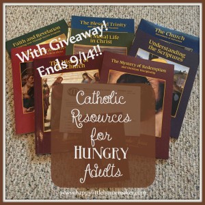 Didache Parish Series - Catholic Resources for Hungry Adults with giveaway