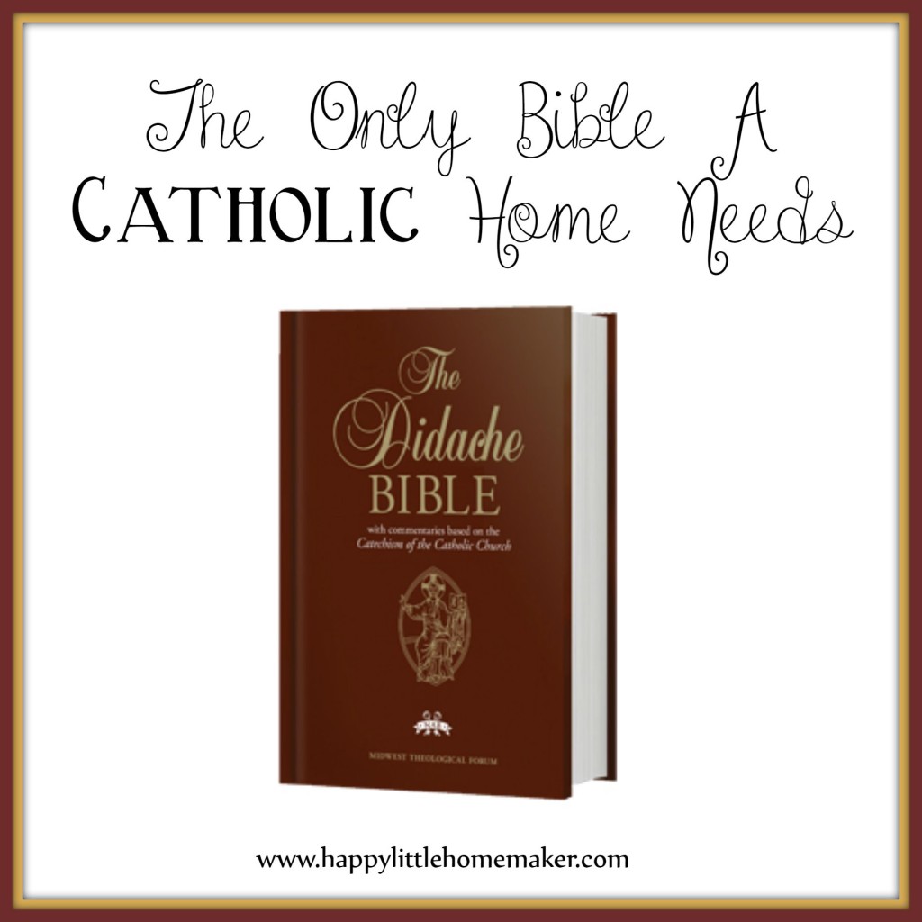 Didache Review at Happy Little Homemaker