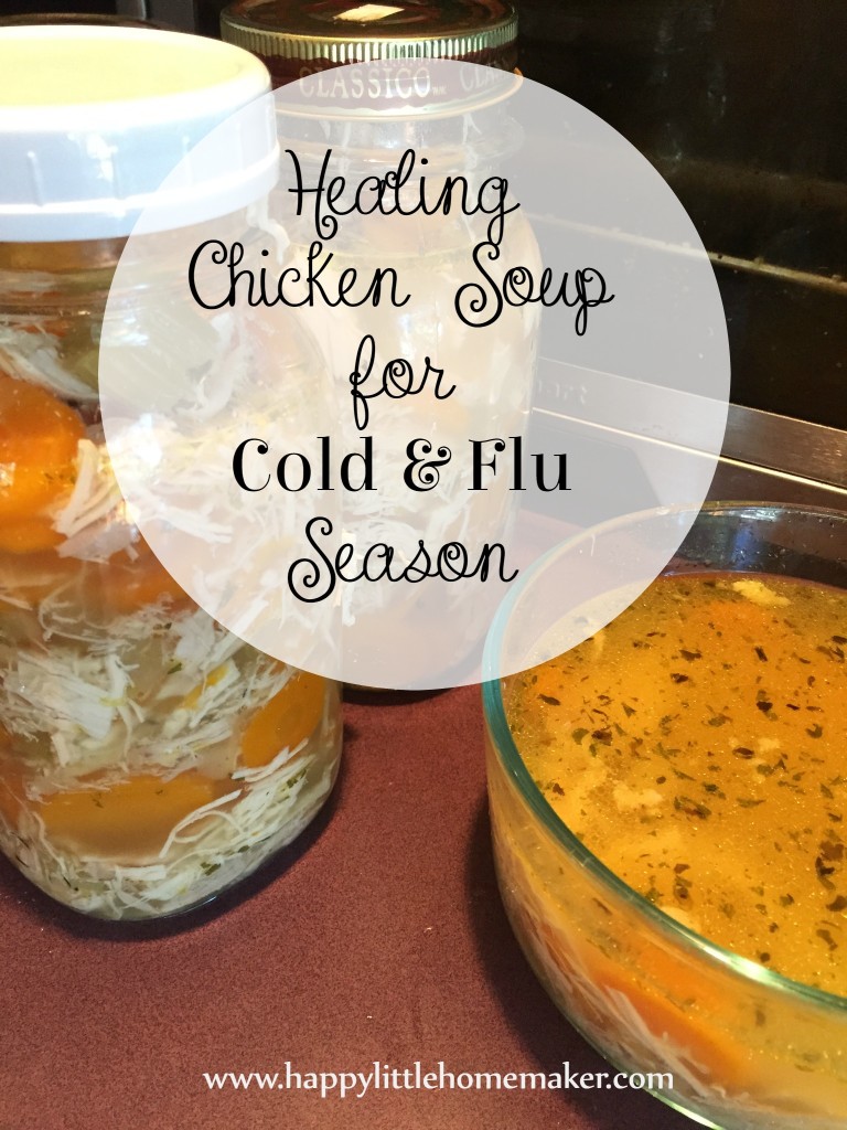 Healing chicken soup for cold and flu season