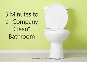 Company-clean-bathroom-5-minutes
