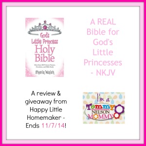 gods-little-princess-bible-nkjv-review-giveaway