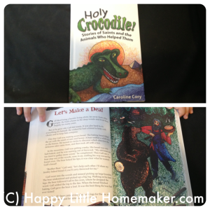 holy-crocodile-review