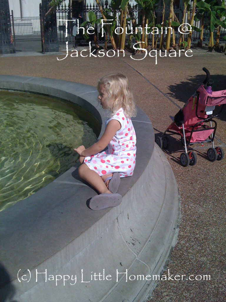 jackson-square copy