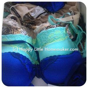 lingerie-of-the-month-adore-me-review-bras