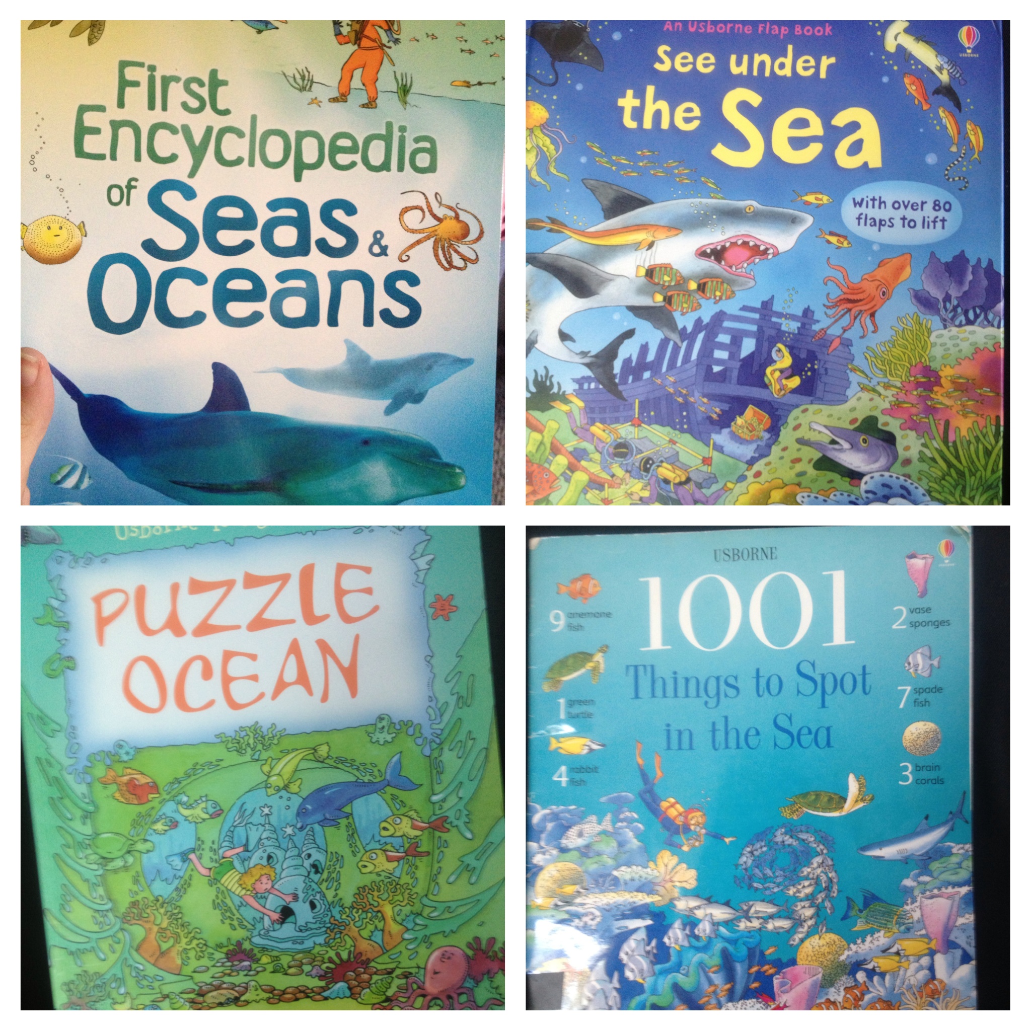 Usborne-ocean-books