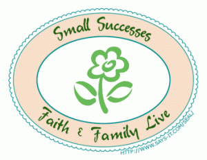 small_successes_badge-300x232